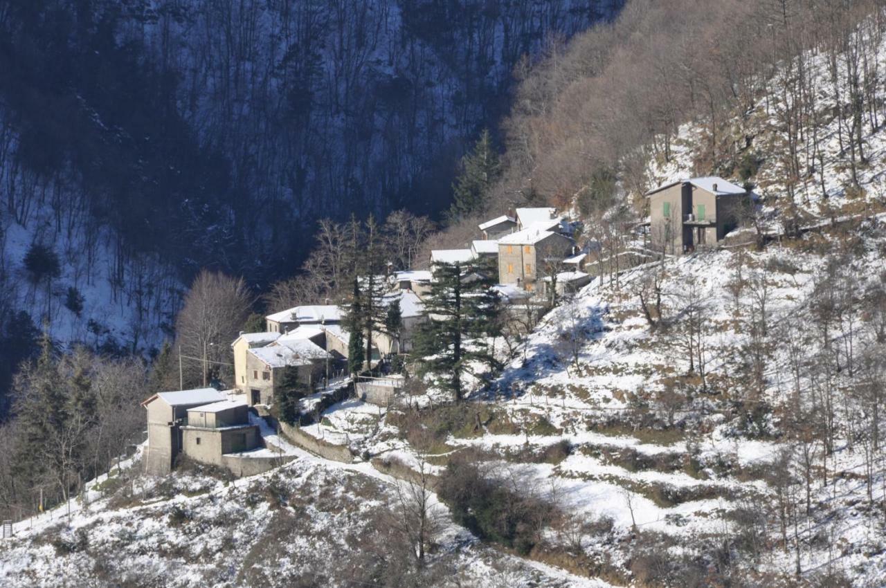B&B Il Ghiro Castiglioni  Exterior photo