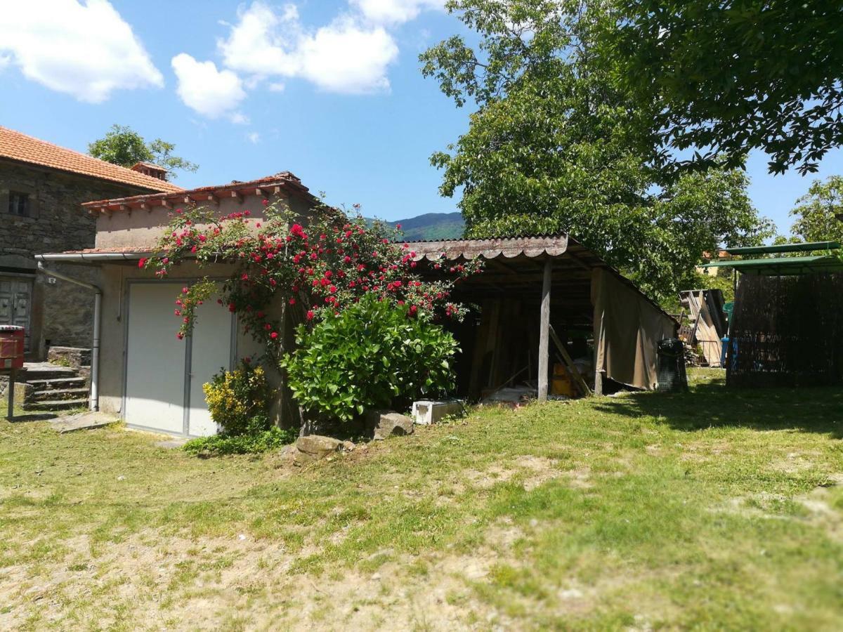 B&B Il Ghiro Castiglioni  Exterior photo